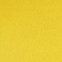 NCAA Iowa Hawkeyes Decorative Pillow
