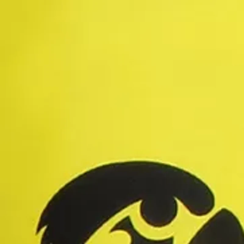 NCAA Iowa Hawkeyes Printed Body Pillow