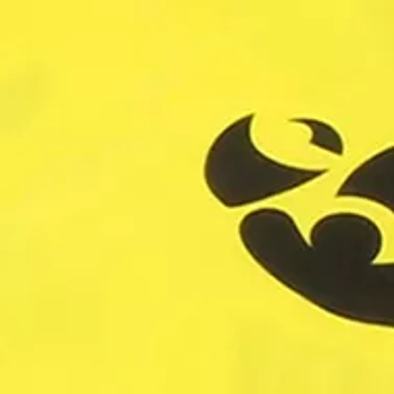 NCAA Iowa Hawkeyes Body Pillowcase