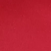 NCAA Iowa State Cyclones Decorative Pillow