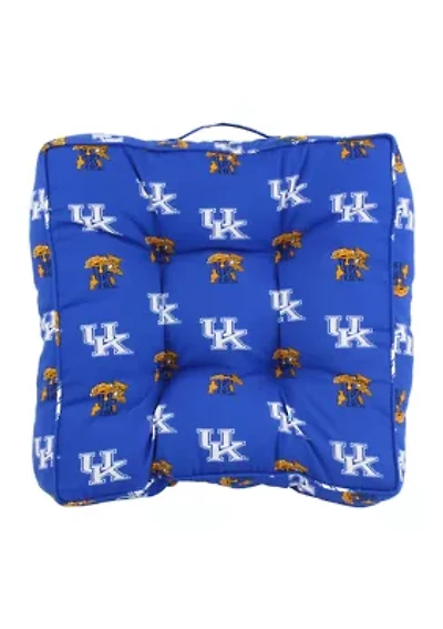 NCAA Kentucky Wildcats Floor Pillow