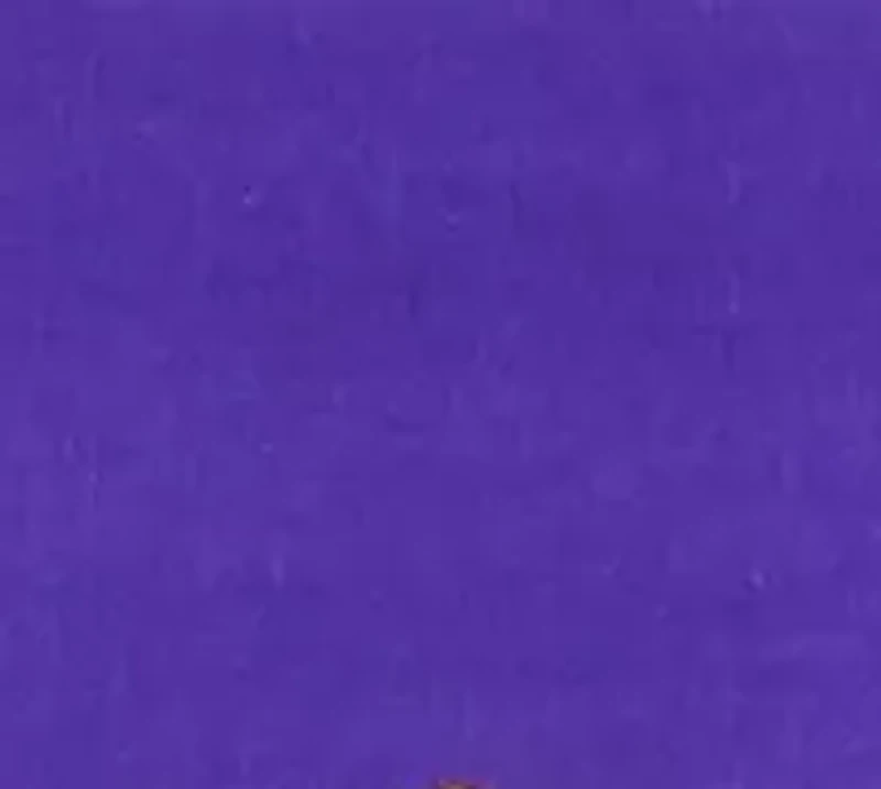 NCAA LSU Tigers Tailgating Grilling Apron