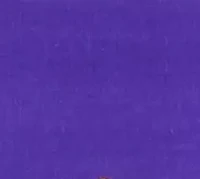 NCAA LSU Tigers Tailgating Grilling Apron