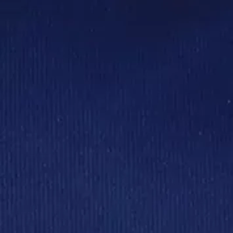 NCAA Michigan Wolverines Decorative Pillow