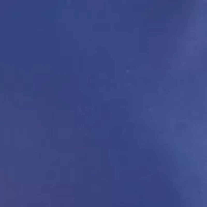 NCAA Michigan Wolverines Fully Stuffed Big Logo Pillow