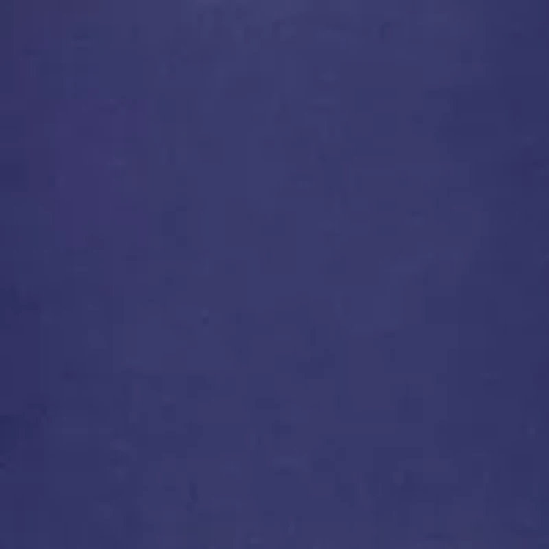 NCAA Michigan Wolverines Printed Body Pillow