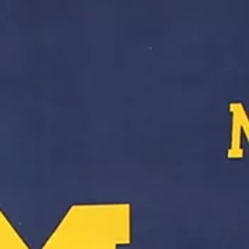 NCAA Michigan Wolverines Futon Cover