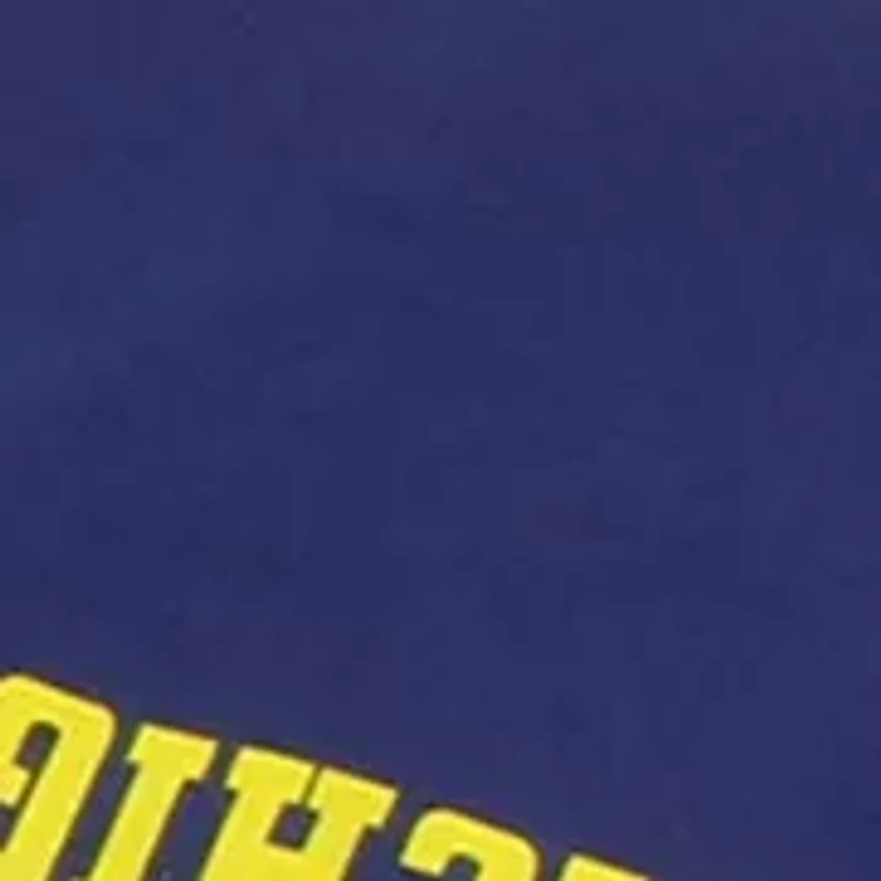 NCAA Michigan Wolverines Body Pillowcase