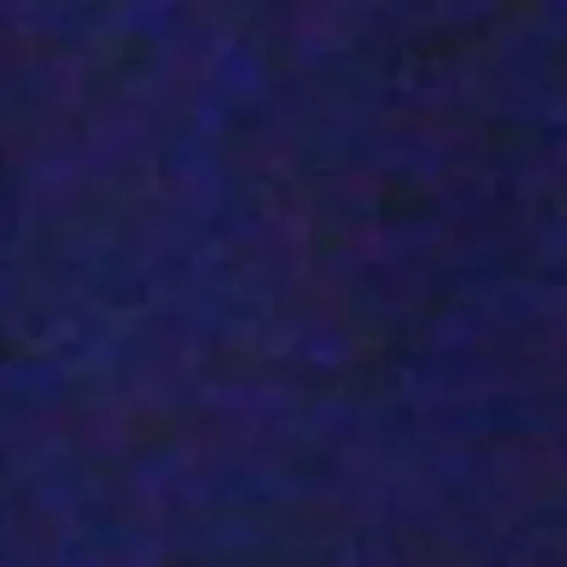 NCAA Michigan Wolverines Printed Shower Curtain Cover