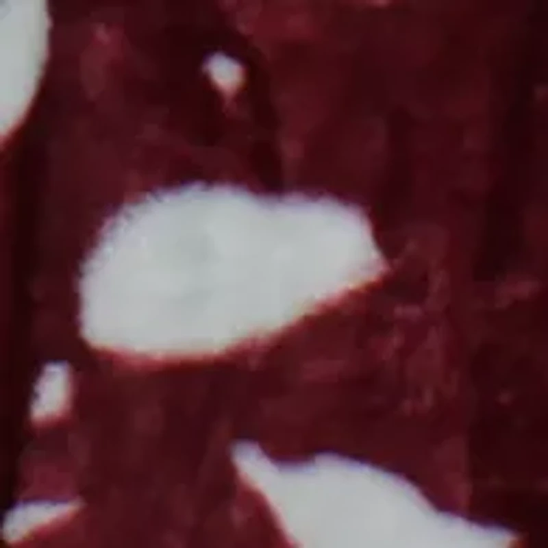 NCAA Mississippi State Bulldogs Huge Raschel Throw Blanket