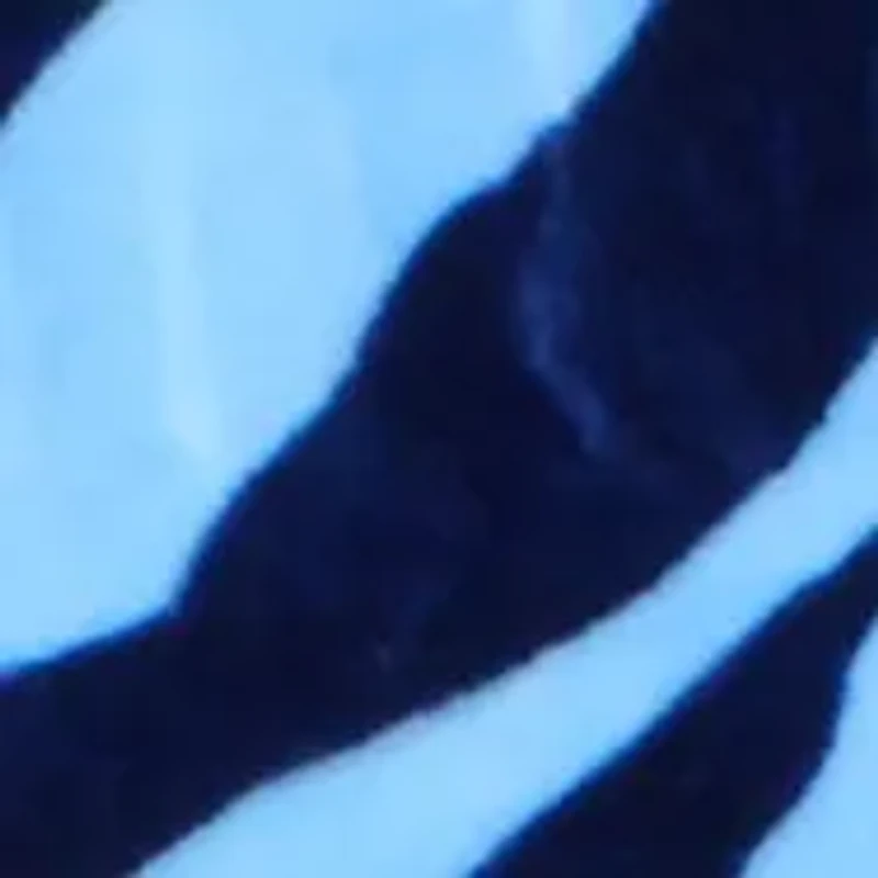 NCAA North Carolina Tar Heels Soft Raschel Throw Blanket