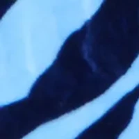 NCAA North Carolina Tar Heels Soft Raschel Throw Blanket