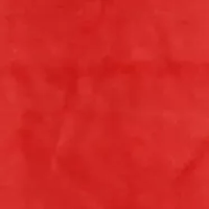 NCAA Nebraska Cornhuskers Huge Raschel Throw Blanket