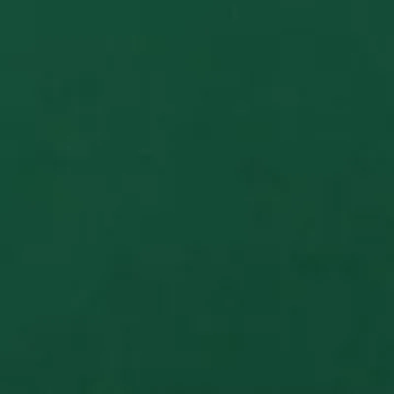 NCAA Oregon Ducks Fully Stuffed Big Logo Pillow