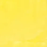 NCAA Oregon Ducks Soft Raschel Throw Blanket