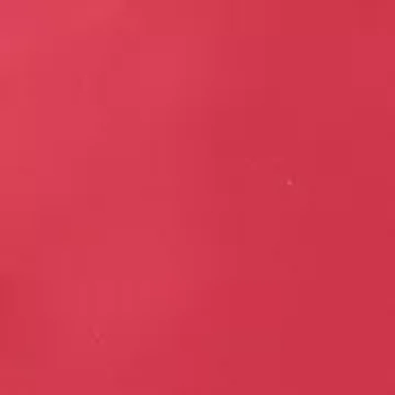 NCAA South Carolina Gamecocks Fully Stuffed Big Logo Pillow