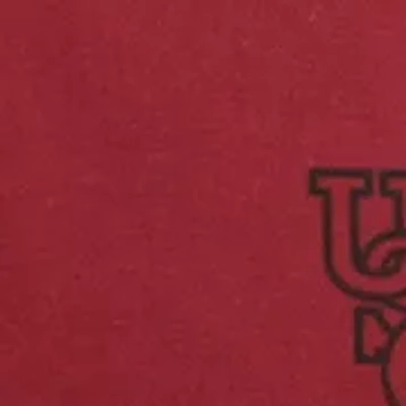 NCAA South Carolina Gamecocks Floor Pillow