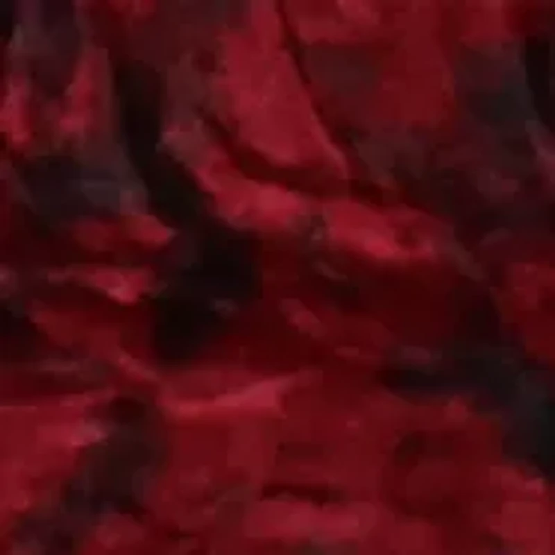 NCAA South Carolina Gamecocks Huge Raschel Throw Blanket