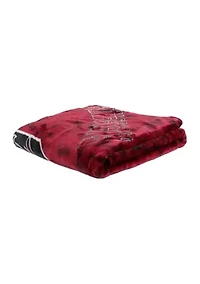NCAA South Carolina Gamecocks Huge Raschel Throw Blanket