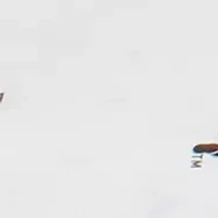 NCAA Texas Tech Red Raiders White Baby Crib Fitted Sheet 