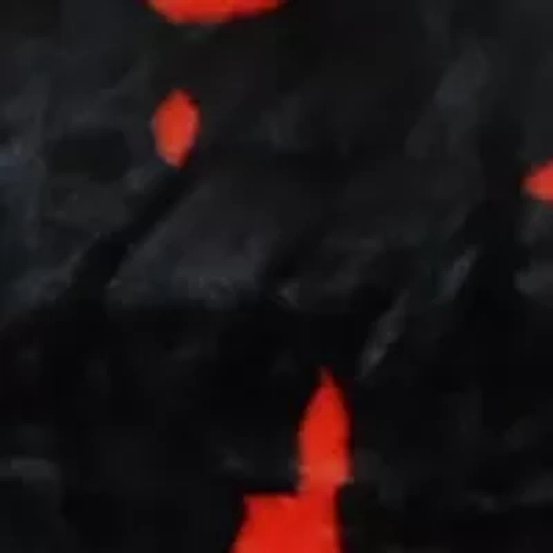 NCAA Texas Tech Red Raiders Huge Raschel Throw Blanket