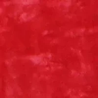 NCAA Wisconsin Badgers Huge Raschel Throw Blanket