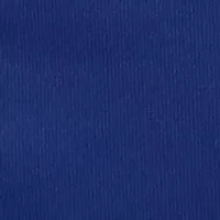 NCAA West Virginia Mountaineers Decorative Pillow