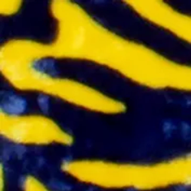 NCAA West Virginia Mountaineers Soft Raschel Throw Blanket