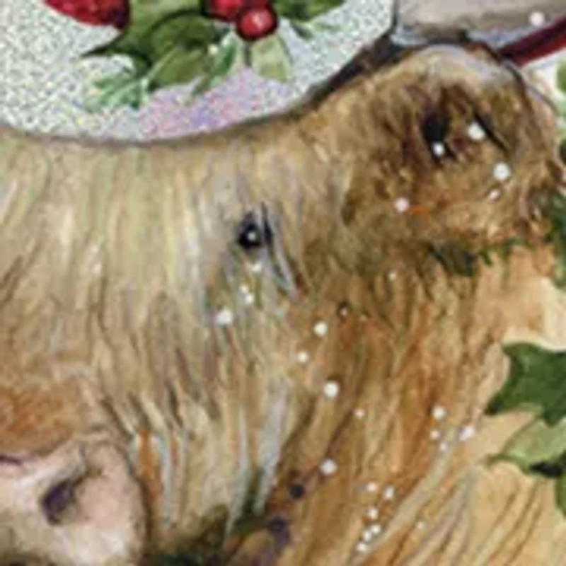 Holiday Highland Cow Boxed Christmas Card Set