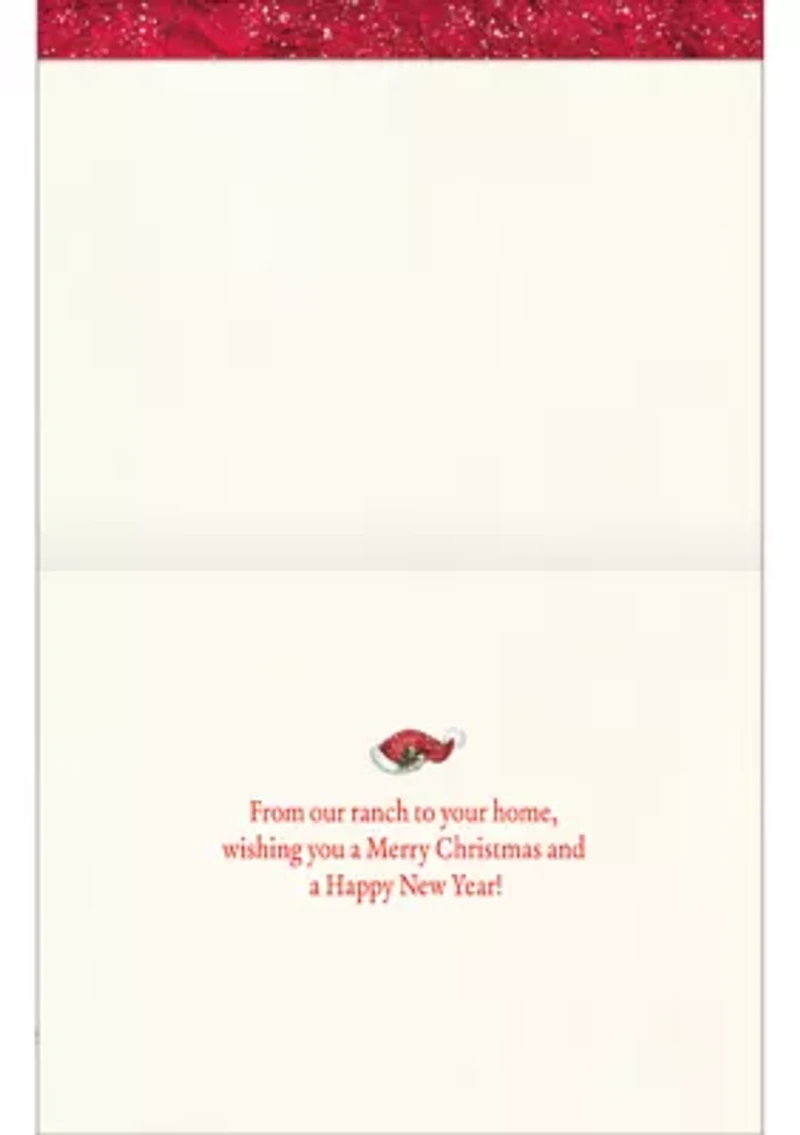 Holiday Highland Cow Boxed Christmas Card Set