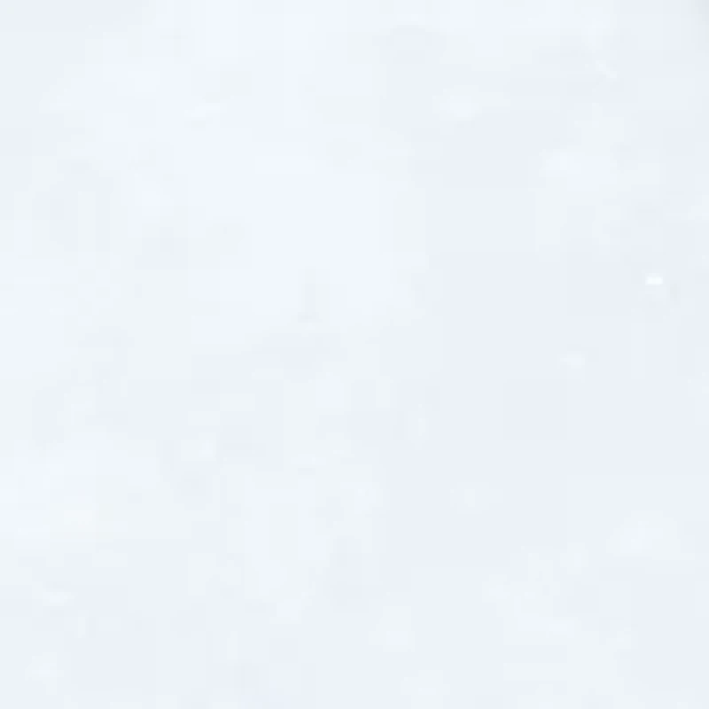 Winter Birds Assorted Boxed Christmas Cards