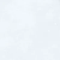 Winter Birds Assorted Boxed Christmas Cards