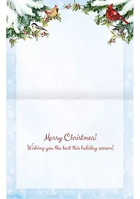 Winter Birds Assorted Boxed Christmas Cards