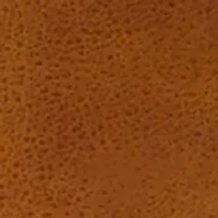 NFL Cleveland Browns Laser Engraved Wallet