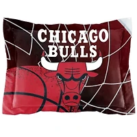 NBA Chicago Bulls Officially Licenced Comforter & Sham set
