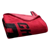 NBA Officially Licenced Chicago Bulls 60" x 80" Raschel Throw Blanket