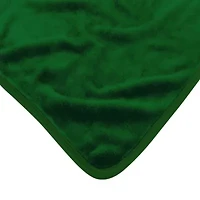 NBA Officially Licenced Boston Celtics 60" x 80" Raschel Throw Blanket