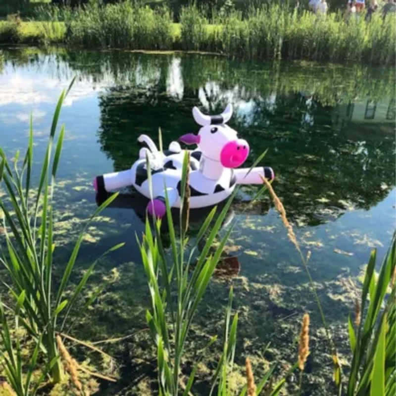 Inflatable Black and White Ride-On Cow Novelty Swimming Pool Float  54-Inch