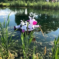 Inflatable Black and White Ride-On Cow Novelty Swimming Pool Float  54-Inch
