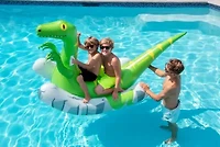 92" Rockin Raptor Inflatable Swimming Pool Float