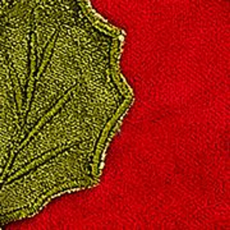 Holly Lattice Throw Pillow 