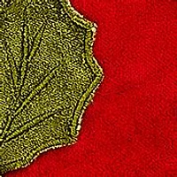 Holly Lattice Throw Pillow 