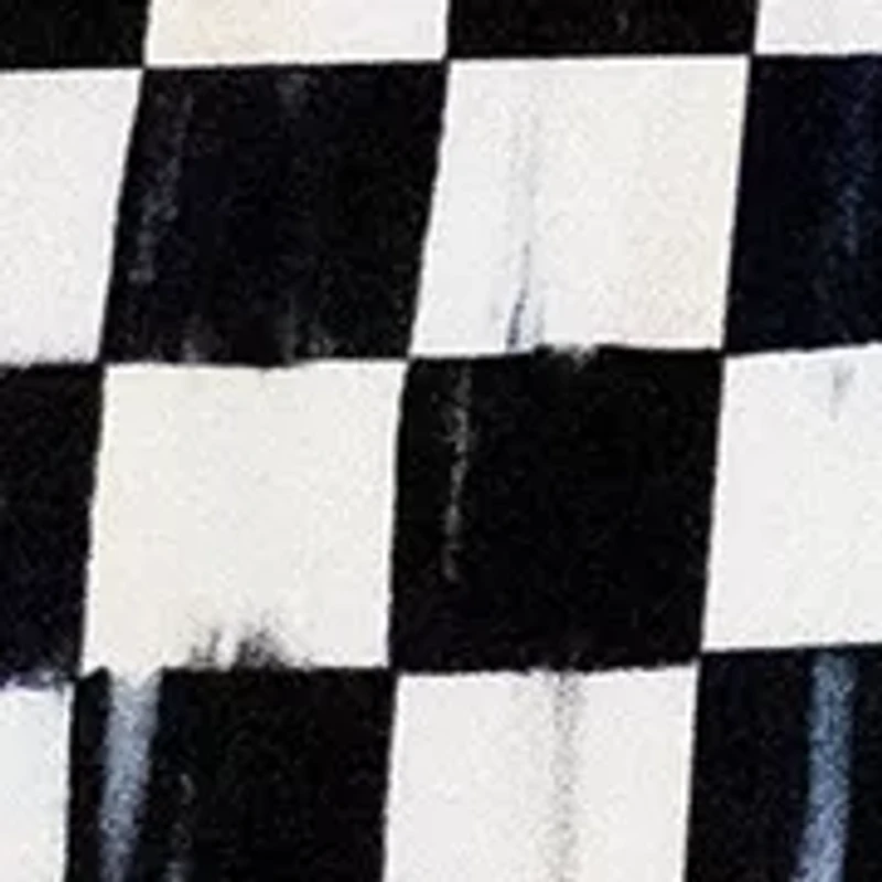 Check Reversible Scalloped Lumbar Throw Pillow