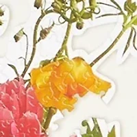Floral 750 Piece Puzzle
