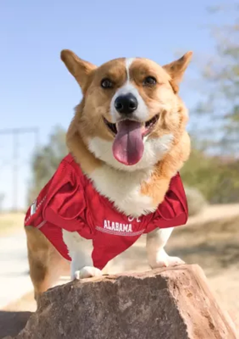 NCAA Alabama Crimson Tide Pet Jersey
