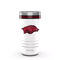 NCAA Arkansas Razorbacks Arctic 20oz. Stainless Tumbler
