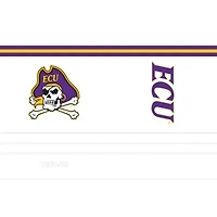 East Carolina Pirates NCAA ECU Pirates Arctic 20oz. Stainless Tumbler