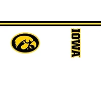 NCAA Iowa Hawkeyes Arctic 20oz. Stainless Tumbler