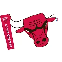 NBA Chicago Bulls Four-Pack 16oz. Classic Tumbler Set