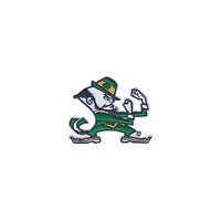 NCAA Notre Dame Fighting Irish 2-Pack 16oz. Competitor & Emblem Tumbler Set